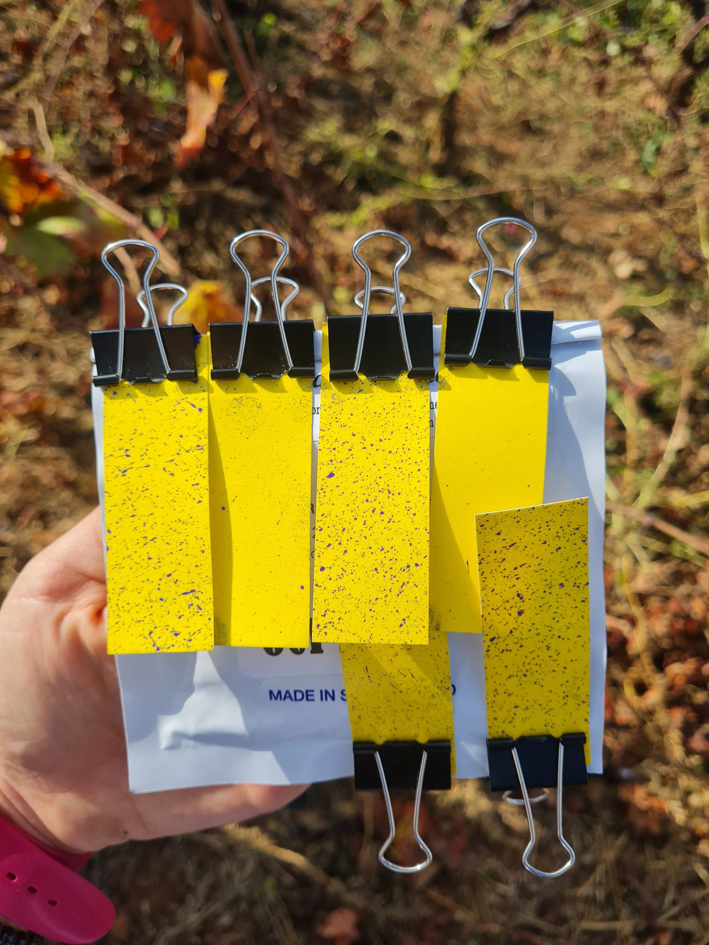 Agricultural Drone Training: Elevate Your Farming Practices
