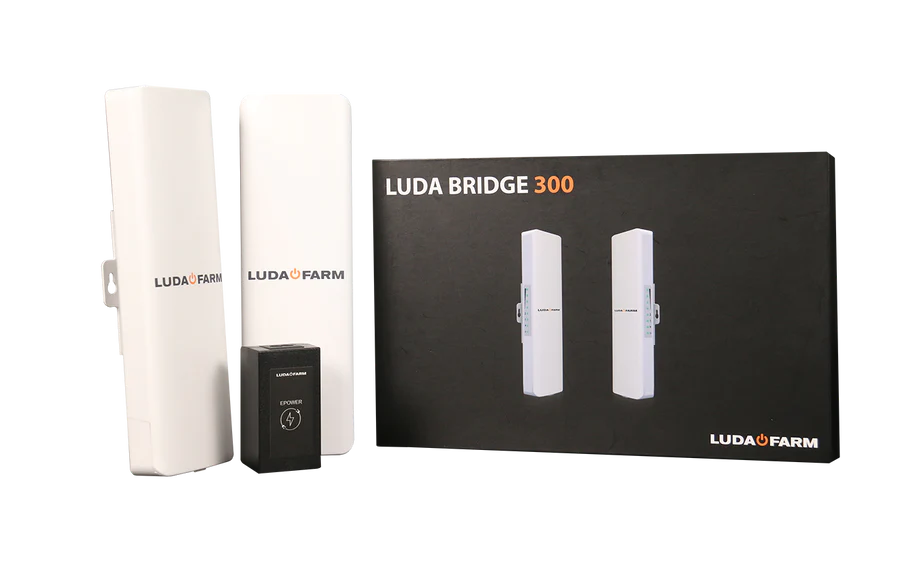 Bridge 300