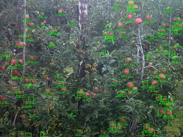 CropView - Your field under full remote control