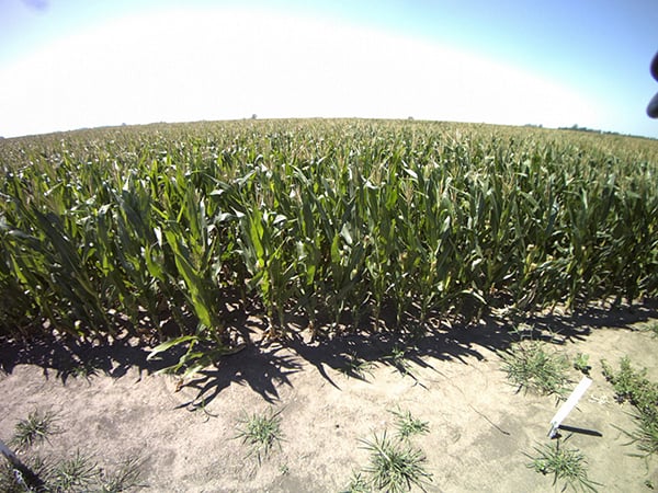 CropView - Your field under full remote control