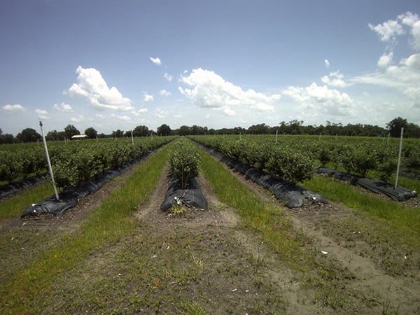CropView - Your field under full remote control