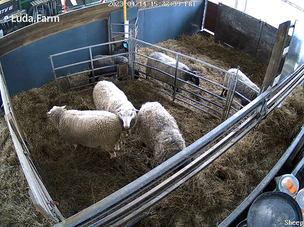 FarmCam Flex 5MP Starter kit