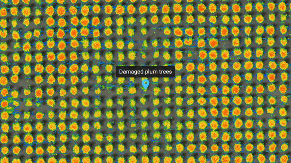 Mastering Precision Agriculture with Pix4Dfields: One-Day Training