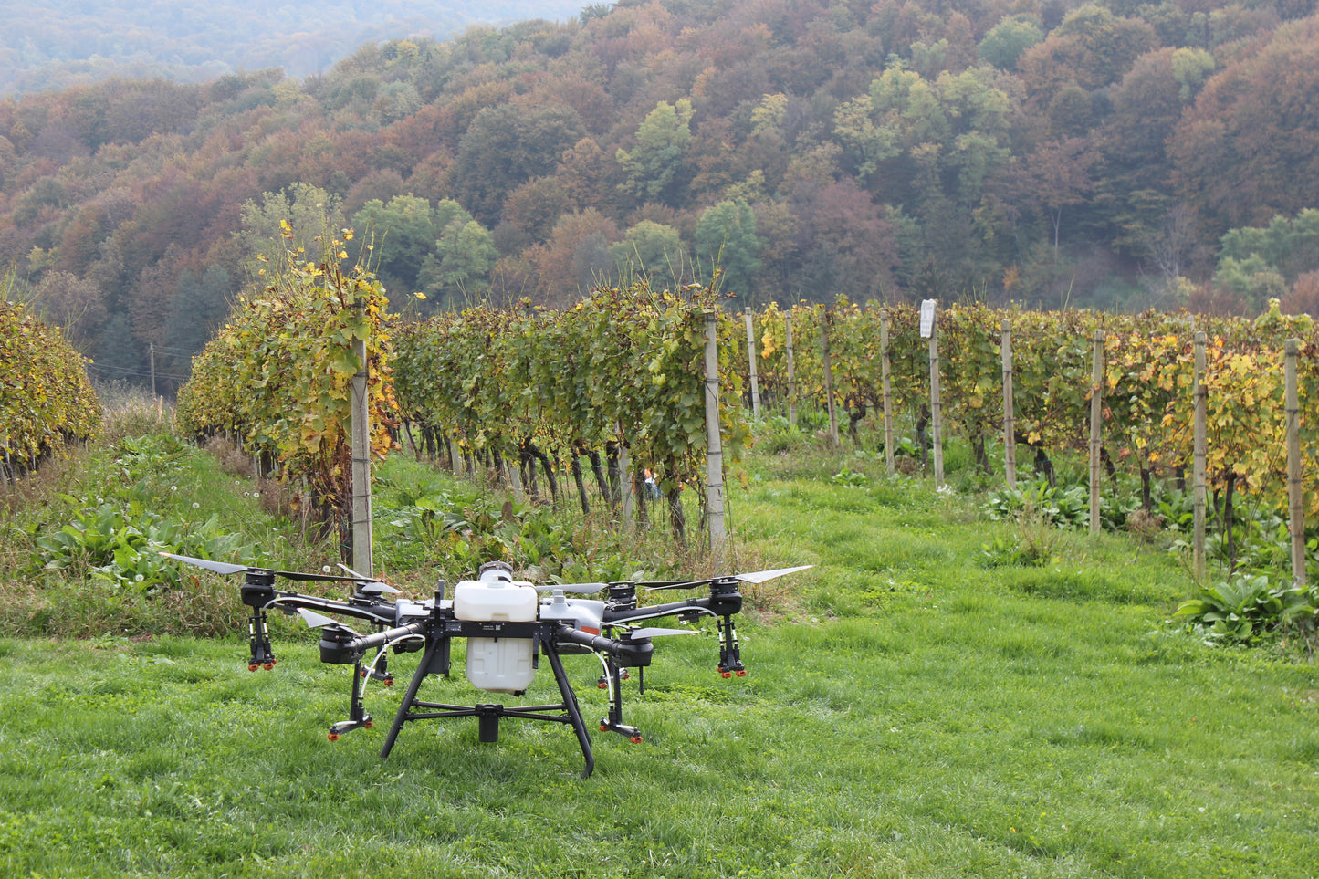 Obuka za poljoprivredne dronove: unaprijedite svoje poljoprivredne prakse