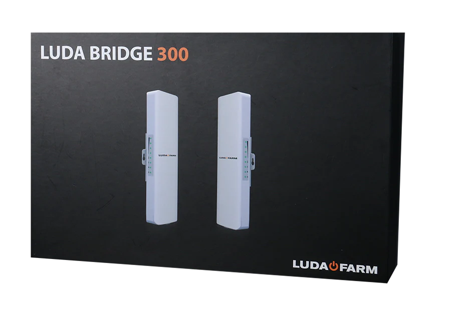 Bridge 300